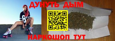индика Рузаевка