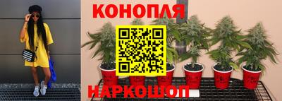 индика Рузаевка